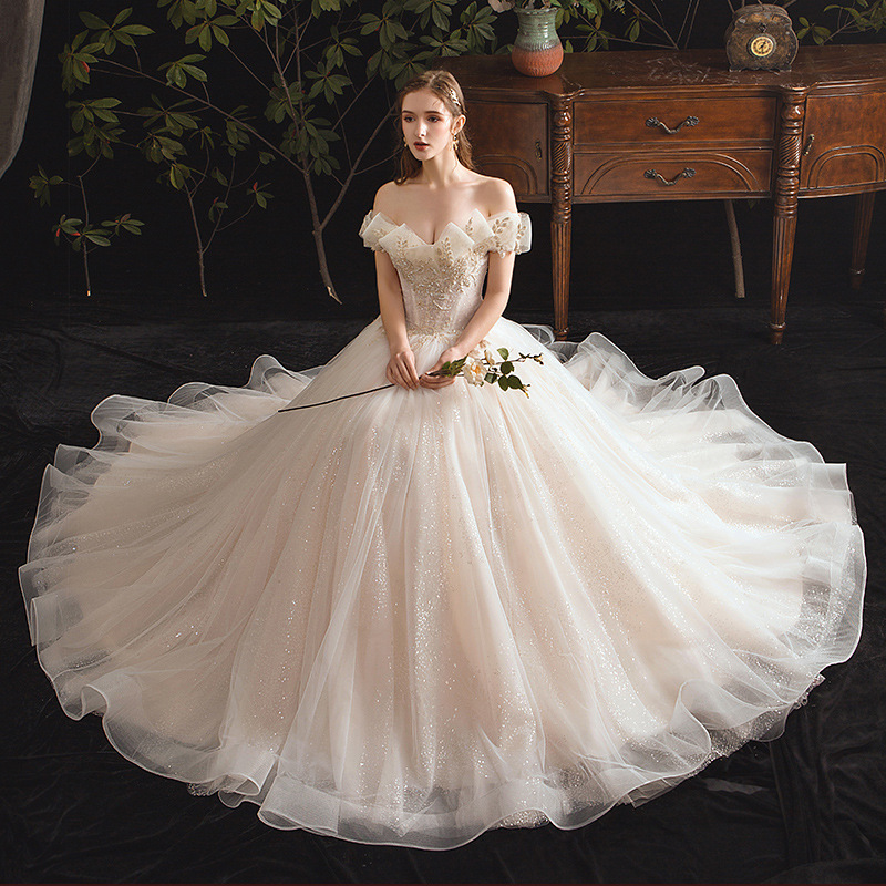 Champagne Wedding Dresses Princess Sweetheart Glitter Tulle Beading Floor-Length